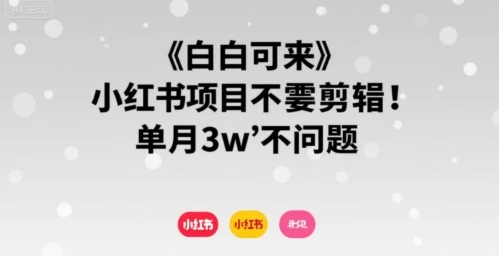 小白可来 小红书项目不需要剪辑 单月3w不是问题-副业吧
