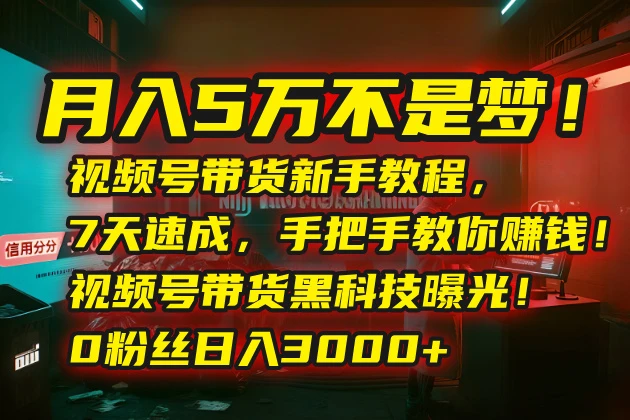 月入5万不是梦!视频号带货新手教程,7天速成,手把手教你赚钱!视频号…-副业吧