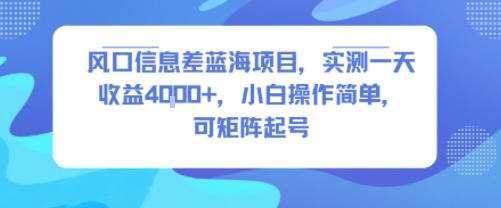 风口信息差蓝海项目，实测一天收益4k+，小白操作简单，可矩阵起号-副业吧
