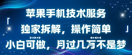 苹果手机技术服务，独家拆解，操作简单，小白可做，月过1W不是梦-副业吧