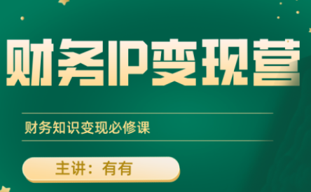 有有老师·财务IP变现营,财务知识变现必修课-副业吧