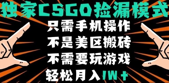 CSGO自动捡漏项目，最新独家玩法，不是美区搬砖，不需要了解和玩游戏，新手小白轻松月入1W+【揭秘】-副业吧