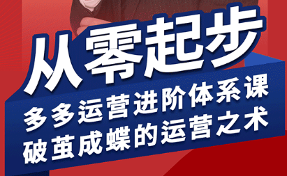 海神·拼多多运营进阶系统课(更新8月)-副业吧
