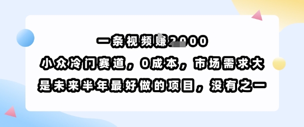 一条视频挣1k,小众冷门赛道,0成本,市场需求大,是未来半年最好做的项目,没有之一-副业吧