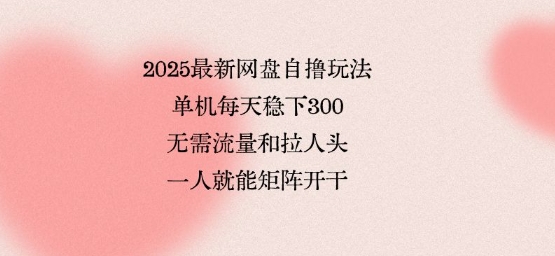 2025最新网盘自撸玩法,单机每天稳下3张,无需流量和拉人头,一个人就可轻松矩阵,全网独一份【揭秘】-副业吧