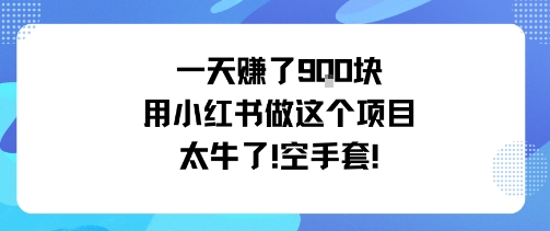 一天挣了9张用小红书做这个项目太牛了，空手套-副业吧