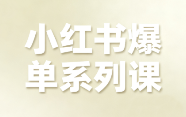 尼采老师·小红书爆单系列课-副业吧