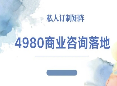 4980商业咨询师落地课程-ip运营高客单教程-副业吧