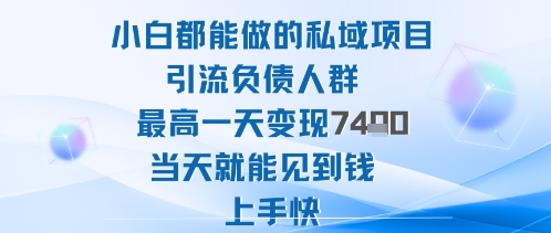 2025年小白都能做的私域项目引流负债人群最高一天变现1k+高变现难度低当天就能见到钱上手快-副业吧
