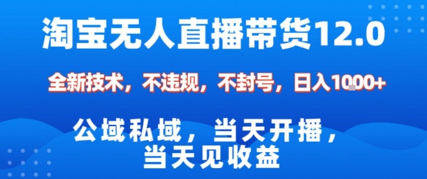 淘宝无人直播12.0，公域私域技术，不封号，不违规布局双十一流量风口，日入1k(独家技术)【揭秘】-副业吧