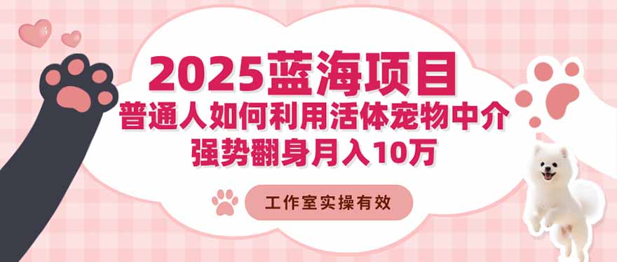 2025蓝海项目：普通人如何利用活体宠物中介，强势翻身月入10万-副业吧
