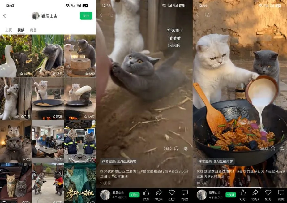 猫咪慢生活短视频教学,AI搞笑萌宠赛道,视频号分成+精选独家+伙伴计划+商单收徒等多种变现方式-副业吧
