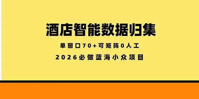 (18500期)酒店智能数据归集,小众蓝海已经稳定半年之久,单窗口70+零成本矩阵开干-副业吧