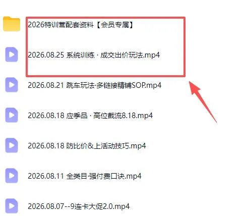 (20092期)拼多多实战特训营(更新26年0827):不管是新手入门或老商家冲量,都有实操方法,跟着学,少走弯路-副业吧