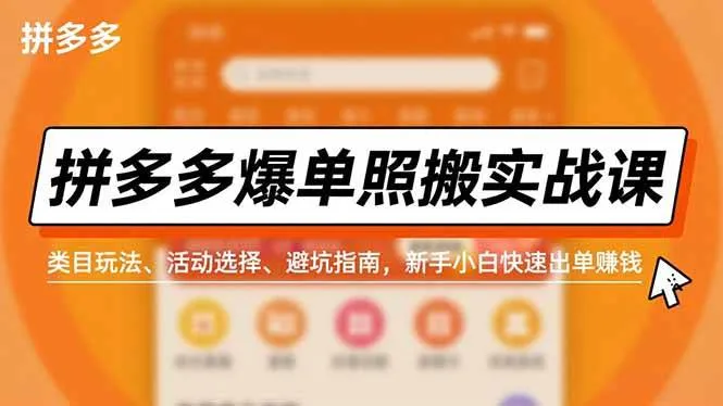 （16838期）拼多多爆单照搬实战课，类目玩法、活动选择、避坑指南，新手小白快速出单赚钱-副业吧