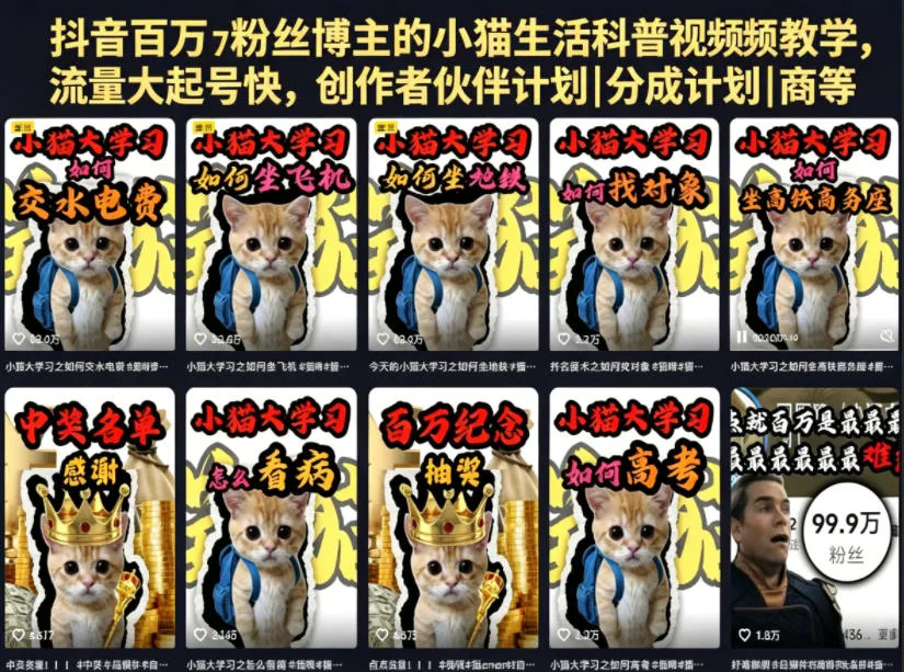 抖音百万粉丝博主小猫生活科普视频教学:零基础剪辑入门,快速起号变现副业-副业吧