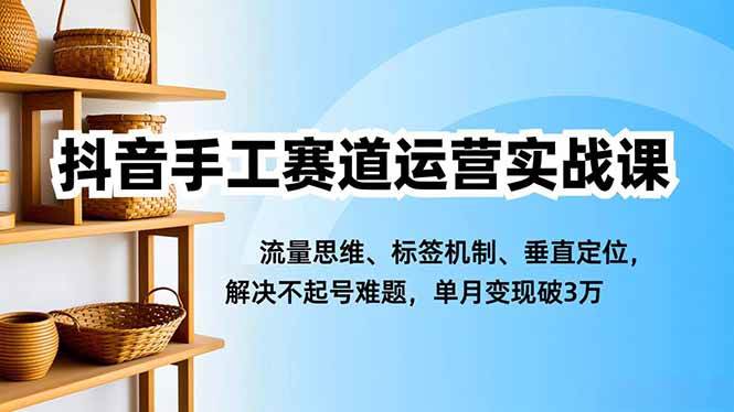 （16667期）抖音手工赛道运营实战课，流量思维、标签机制、垂直定位，解决不起号难题，单月变现破3万-副业吧