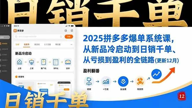 （16894期）2025拼多多爆单系统课，从新品冷启动到日销千单、从亏损到盈利的全链路（更新12月）-副业吧