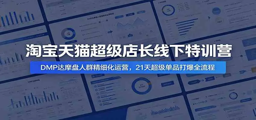 淘宝天猫超级店长线下特训营:DMP达摩盘人群精细化运营,21天超级单品打爆全流程-副业吧
