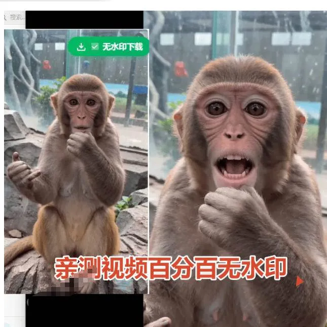 （19358期）豆包无水印下载终于来了！支持豆包图片/视频，目前唯一免费使用的插件，浏览器拓展