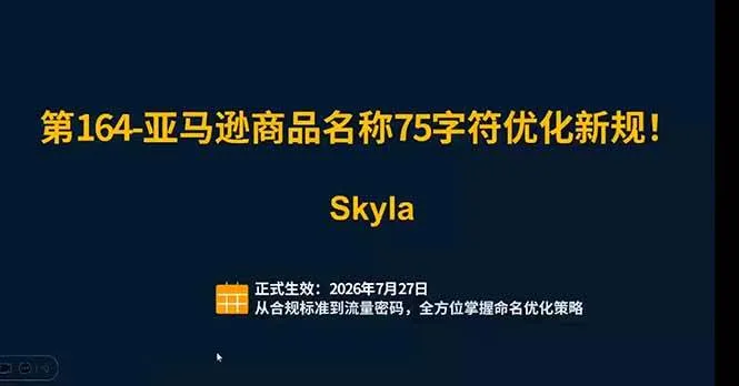 (19352期)亚马逊跨境实战课:全品类选品逻辑|SP/SB/SD广告精细化|新品打爆旺季爆单全套运营教程-副业吧