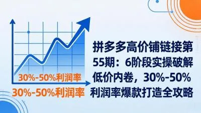 【精】拼多多高价铺链接第55期：6阶段实操破解低价内卷，30%-50%利润率爆款打造全攻略-副业吧