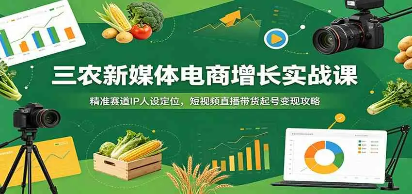 三农新媒体电商增长实战课：精准赛道IP人设定位，短视频直播带货起号变现攻略-副业吧