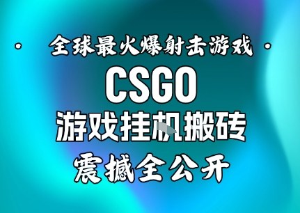 【年底大揭秘】基于全球最火爆的射击CSGO游戏挂G搬砖,日入5张+,震撼公开-副业吧