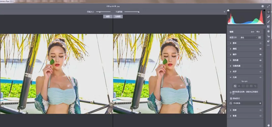 RAW处理Adobe Camera Raw v18.3.0中文版-副业吧