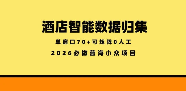 酒店智能数据归集,小众蓝海已经稳定半年之久,单窗口70+零成本矩阵开干【揭秘】-副业吧
