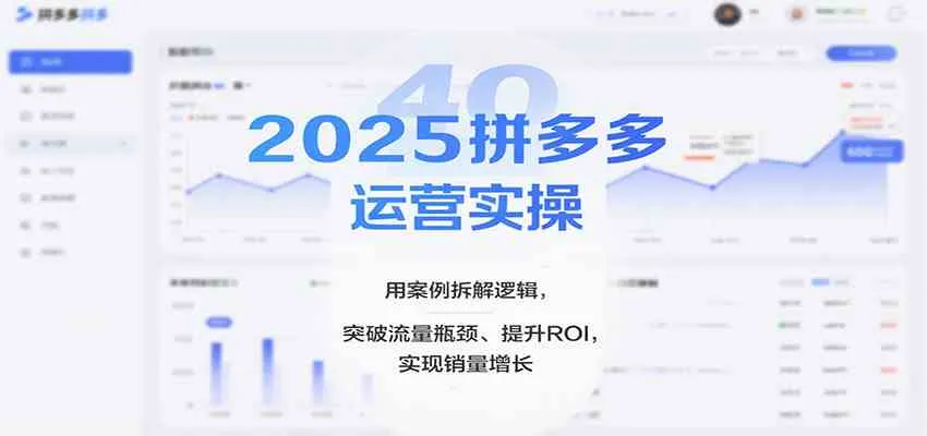 2025拼多多运营实操，用案例拆解逻辑，突破流量瓶颈、提升ROI，实现销量增长（更新）-副业吧