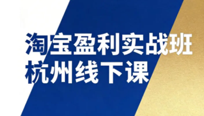 淘宝盈利实战班杭州线下课12月26-28日（音频+字幕），帮你掌握SOP流程+12门核心技术-副业吧