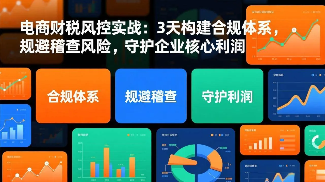 （17197期）电商财税风控实战：3天构建合规体系，规避稽查风险，守护企业核心利润-副业吧