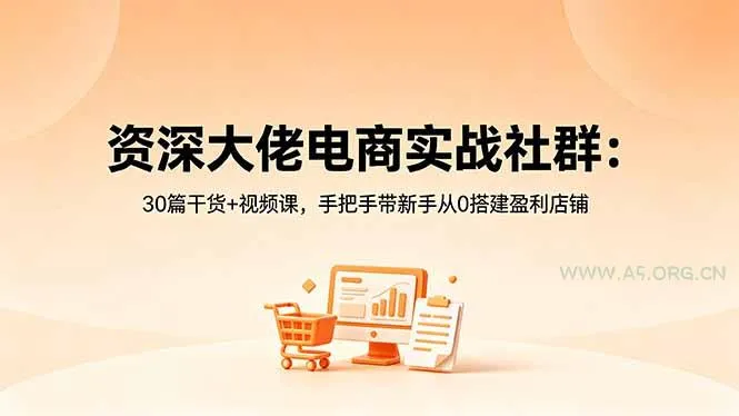 【精】资深大佬电商实战社群:30篇干货+视频课,手把手带新手从0搭建盈利店铺-副业吧