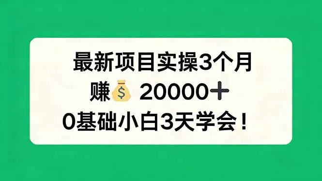 （17856期）最新项目实操3个月，赚钱20000+，0基础小白3天学会！-副业吧