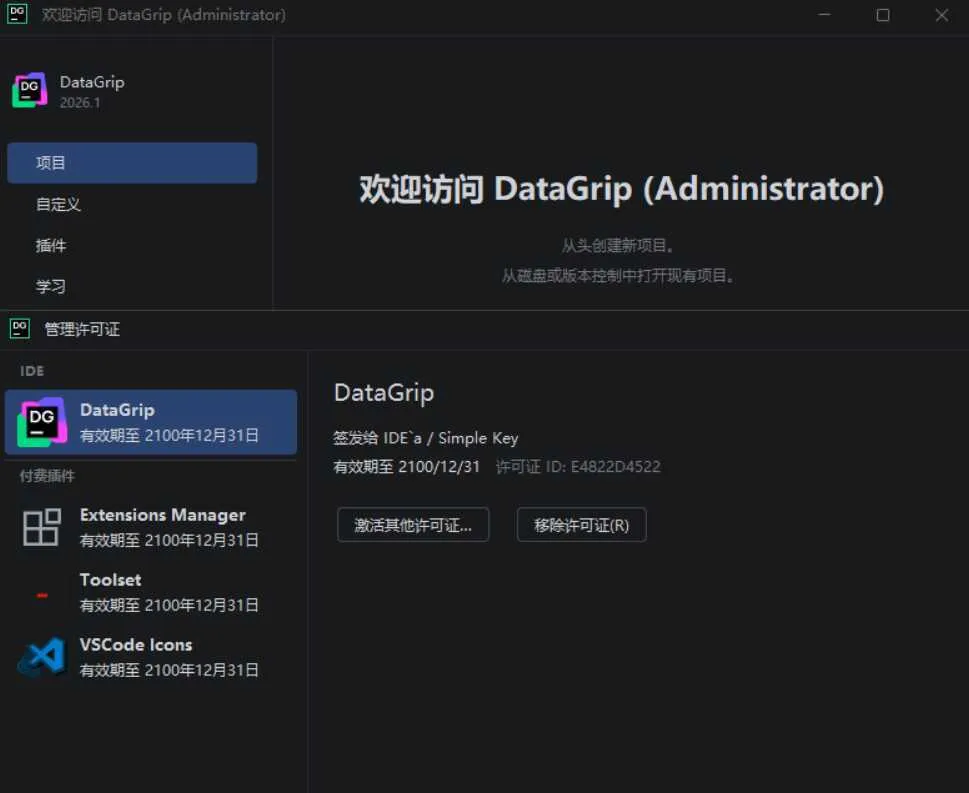 DataGrip v2026.1.0 高级版-副业吧