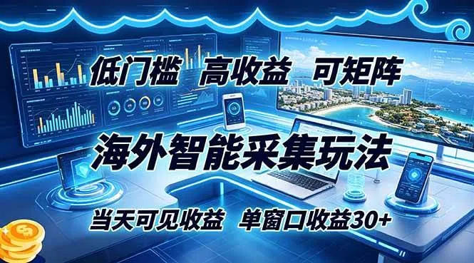 (18955期)海外智能采集玩法,低门槛高单价可矩阵,当天可见收益,单窗口30+-副业吧