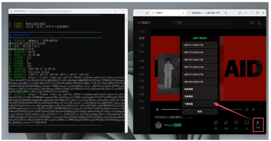 Github热门工具,视频号下载神器又来了!一键注入下载按钮,轻松下载,使用便捷wx_channel-副业吧