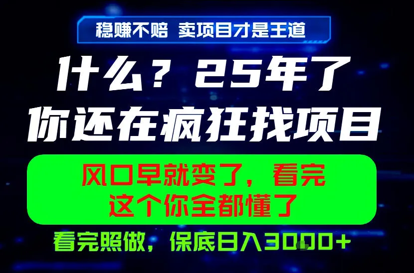26年,请不要疯狂的找项目做了!卖项目才是真的稳賺不赔,看完照做,保底日入1k+【揭秘】-副业吧