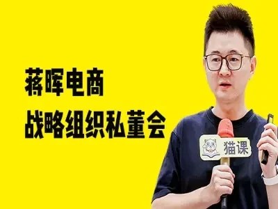 蒋晖电商战略组织私董会-教程视频打包下载-副业吧