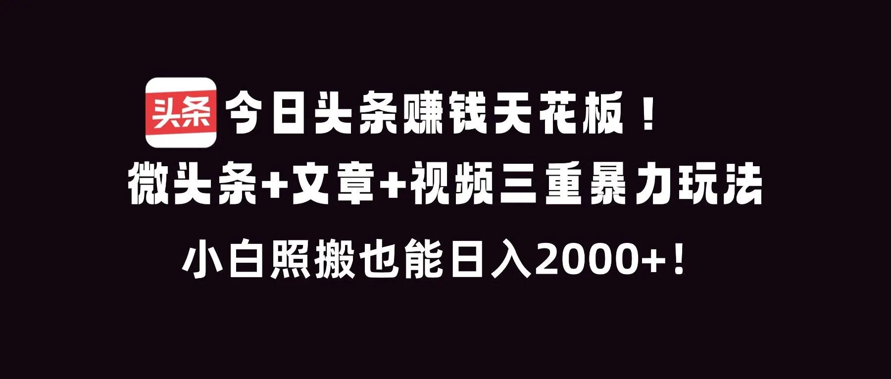 （16888期）今日头条赚钱天花板！微头条+文章+视频三重暴利玩法，小白照搬也能日人2000+-副业吧