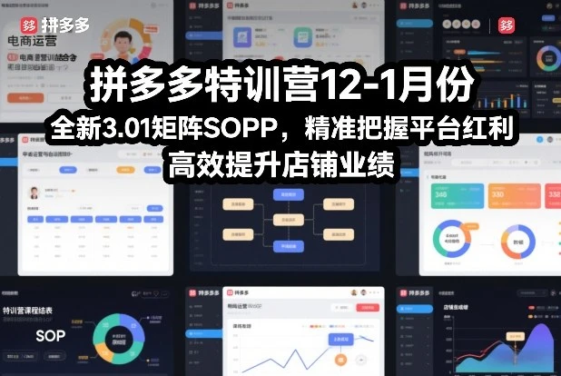 【精】拼多多特训营12-1月份,全新3.01矩阵Sop,精准把握平台红利,高效提升店铺业绩-副业吧