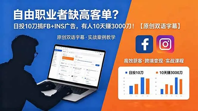 （18489期）自由职业者缺高客单？日投 10 刀搞 FB+INS 广告，有人 10 天赚 3000 刀！【原创双语字幕】-副业吧