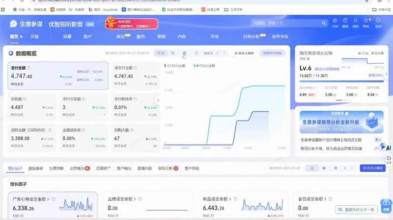 (19399期)淘宝VIP特训课:蓝海选品+付费投放|短视频AI运营|大促起爆全流程,破解店铺无流量无利润难题-副业吧