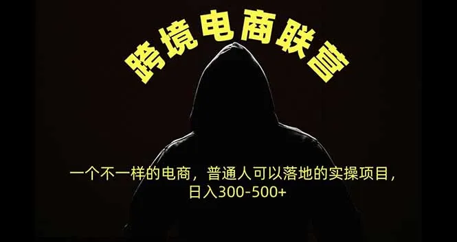 跨境电商联营,一个不一样的电商,普通人可操作日入300-500+-副业吧