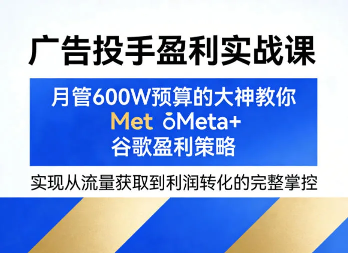 广告投手盈利实战课，月管600W预算的大神教你Meta+谷歌盈利策略，实现从流量获取到利润转化的完整掌控-副业吧