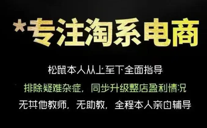 松鼠会电商VIP课程,从基础布局到高阶优化,助你掌握淘宝运营逻辑,提升店铺流量与转化(更新0809)-副业吧