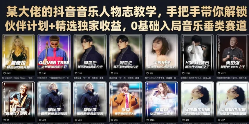 某大佬的抖音音乐人物志教学,手把手带你解锁伙伴计划+精选独家收益,0基础入局音乐垂类赛道-副业吧