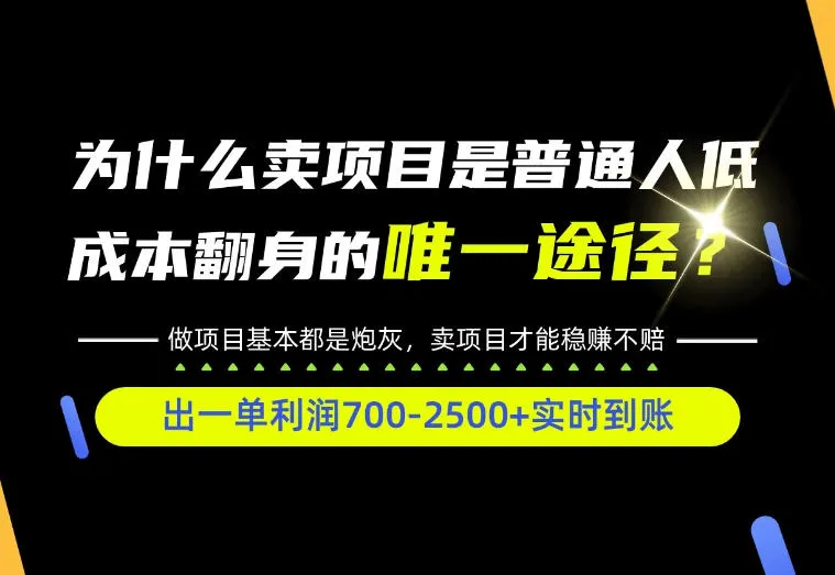普通人如何靠互联网賺取自己的第一桶金!全类目实操型教学,看完你全都懂了!【揭秘】-副业吧