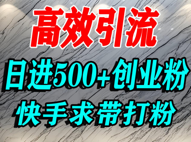 怎么打创业粉？快手求带视角精准引流创业粉，宝妈、学生群体日进500+精准流量-副业吧